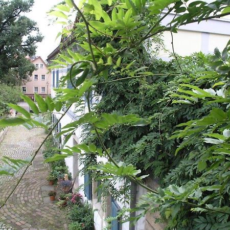 Ferienhaus am Grünen Stadtrand Dresden Exterior foto