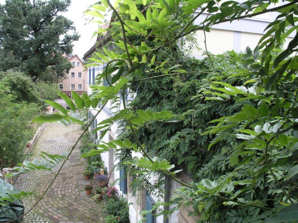 Ferienhaus am Grünen Stadtrand Dresden Exterior foto